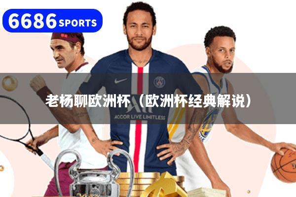老杨聊欧洲杯（欧洲杯经典解说）